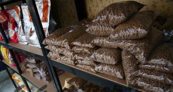 三好街五里河街沈音東門(mén)寵物店 您的寵物生活一站式服務(wù)專(zhuān)家