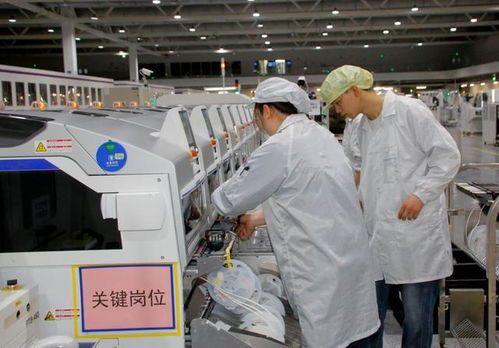 芯片榮獲最高級別認(rèn)證 兩江新區(qū)以硬科技為引擎，驅(qū)動技術(shù)服務(wù)創(chuàng)新升級