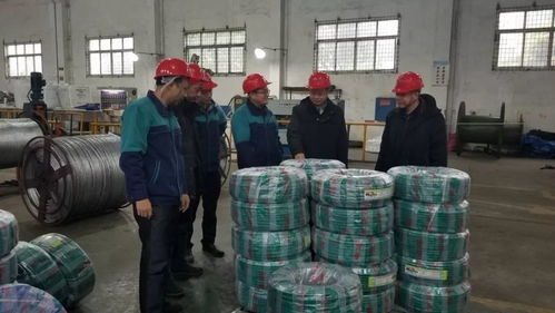 暖心回訪服務(wù)，優(yōu)化營商環(huán)境 柳州市質(zhì)檢所深入企業(yè)開展技術(shù)指導(dǎo)